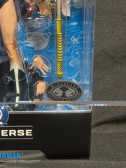 McFarlane DC Multiverse Collector Edition Platinum Wonder Woman #61 Chase | New