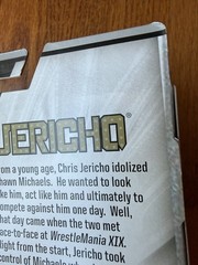 WWE Mattel Elite Chris Jericho Y2J Ringside Collectibles Exclusive RSC WMXIX
