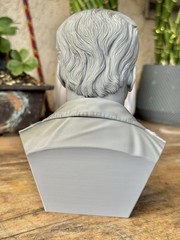 Arnold Schwarzenegger Terminator Bust 6.5” 3D Printed Sci-Fi Collectible Statue