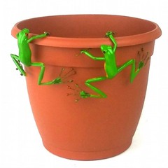 Red Eyed Tree Frog Thin Pot Sitter Hanger (Set of 2) Closeout SALE
