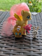 My Little Pony Explore Equestria Articulated Fluttershy Action Figure Poseable