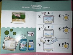 NEW MGA Miniverse Make It Mini Animals Series 1 & 2 ****You Choose!!!*****
