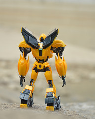 Iron Warrior IW-08 Rhubarb BumbleBii,in stock