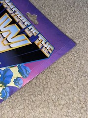 Masters Of The WWE Universe MOTU Becky Lynch New Sealed Figure Man of WWeternia