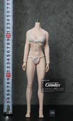 In-stock 1/6 TBLeague Phicen Short Asian Petite S24A S25B Female Body