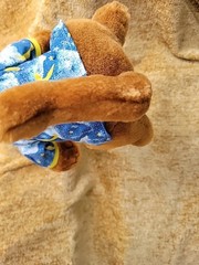 Cartoon Network SCOOBY-DOO DOG WIZARD 14″ Plush Toy Sleepy Time Pajama
