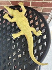 Toys R Us Maidenhead Large Realistic Lifelike Soft Rubber Alligator 2017 23”