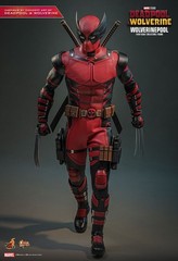READY NEW AUTHENTIC HOT TOYS DEADPOOL & WOLVERINE WOLVERINEPOOL MMS857 CONCEPT