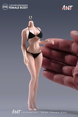 1/12 Female Pale Skin Super Large Breast Plump Hip Seamless Body 6”Figure Toys