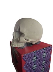 Ron English Popaganda Star Skull SIGNED Limited Edition Vinyl Art Toy