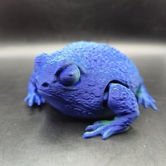 Rain Frog Articulated Figure 3D Printed Collectable Multi Color