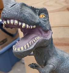 T-Rex Large Rubber Dinosaur Fun Non-Mechanical Toy 2011 Detailed/Realistic Vtg