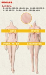 LDDOLL 1/6 29Muscle Seamless Silicone Realistic Female Soldier Body Articulated