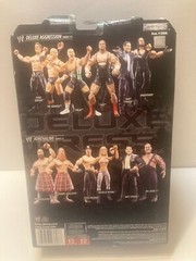 NEW 2008 Jakks Pacific WWE Deluxe Aggression Series 15 Matt Striker 7″ Figure