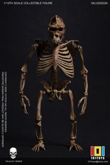 101TOYS ES003A 1/12 Original color CHIMPANZEE SKELETON FRAME BOBY Figure Toys