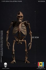 101TOYS ES003A 1/12 Original color CHIMPANZEE SKELETON FRAME BOBY Figure Toys