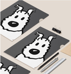 TINTIN A4 File Folder [lot of 2] CLEAR Sleeve Protector Organizer for Paper Docs