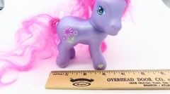 My Little Pony MLP G3 Petal Blossom Super Long Hair Pony