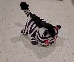 Aphmau MeeMeows Safari Limited Edition – ZEBRA CAT Mystery Plush