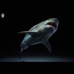 Wanlongtang Megalodon Shark Statue Original Prehistoric Dinosaur Model