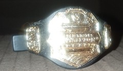 WWE Mattel 2010 US United States Champion Belt Wrestling Figure Accessory Used
