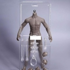 JIAOU DOLL 1/6 Seamless Male Body Doll Male Figure Fit 12″ Phicen Hot Toys