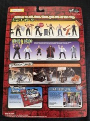 Jakks WWE WWF Summer Slam 99 Fully Loaded 2 Road Dogg Jesse James Figure NEW