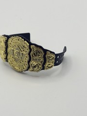 AEW Wrestling Figure World Heavyweight & TNT Championship Accessory Lot