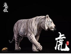 JxK 1/6 Bengal Tiger White Tiger Figure Animal Model Collect Toy Statue