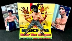 BRUCE LEE 🥋 ENTER THE DRAGON 🥋 Action Figure on Custom Design Display Diarama