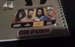 2026 Royal Rumble New WWE Champion CM Punk Amazing Likeness with microphone!!