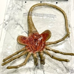 Aliens – High Quality NECA Facehugger 1:1 Scale Life-Size Foam Replica BRAND NEW