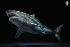 Wanlongtang Megalodon Shark Statue Original Prehistoric Dinosaur Model