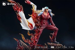 One Piece Akainu Sakazuki [2 years ago] Garage Kit Figure 1/8 POP size