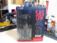 DAMTOYS PES001 SAS CRW Assaulter 1:12 Scale Action Figures (US Seller) Used