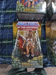 MOTU Adult Collector toys