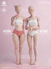 US Worldbox AT201 AT202 AT203 AT206 AT210 1/6 Flexible Joint Body Female Figure