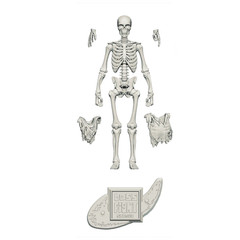 Bone White Skeleton Vitruvian H.A.C.K.S. Customizer Series Action Figure Blank