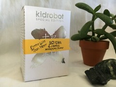 Kidrobot Special Edition 10th Anniversary DUNNY 3″ 10 Years 4 Months SILVER NEW 