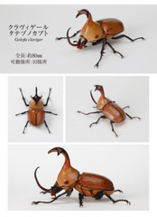 The Diversity of Life on Earth Beetle Vol. 06 Figure Bandai Capsule Toy Gashapon