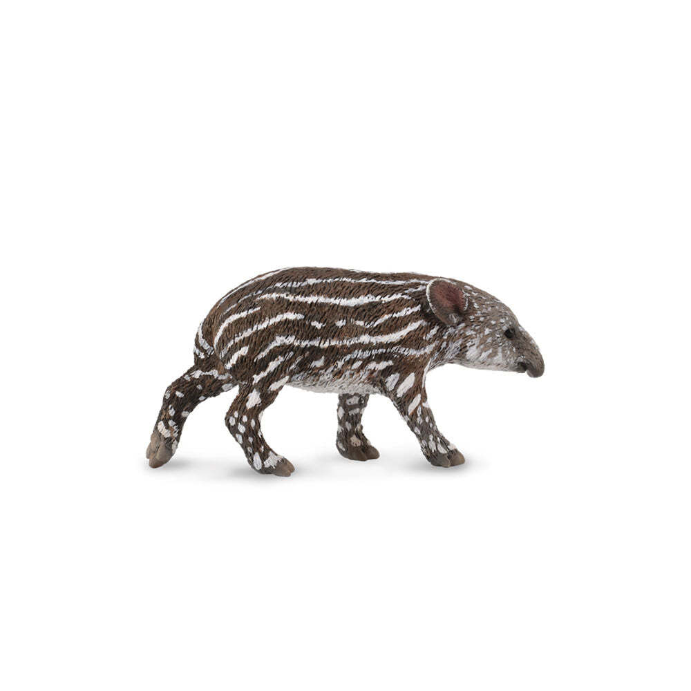 CollectA Realistic Animal Replica Baby Bairds Tapir Figure Small Ages 3+ and Up