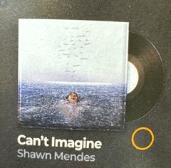 🎶 ZURU Mini Brands VINYL Series- *Common* SHAWN MENDES – Can’t Imagine