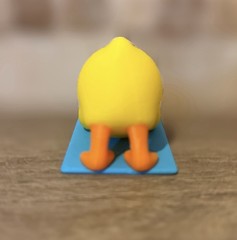 Yoga Duck – Downward Duck – Ducking – Cruises – Collectibles