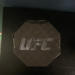 UFC Fighters Ilia Topuria Action Figure Boxed Mixed Martial Arts Multicolor