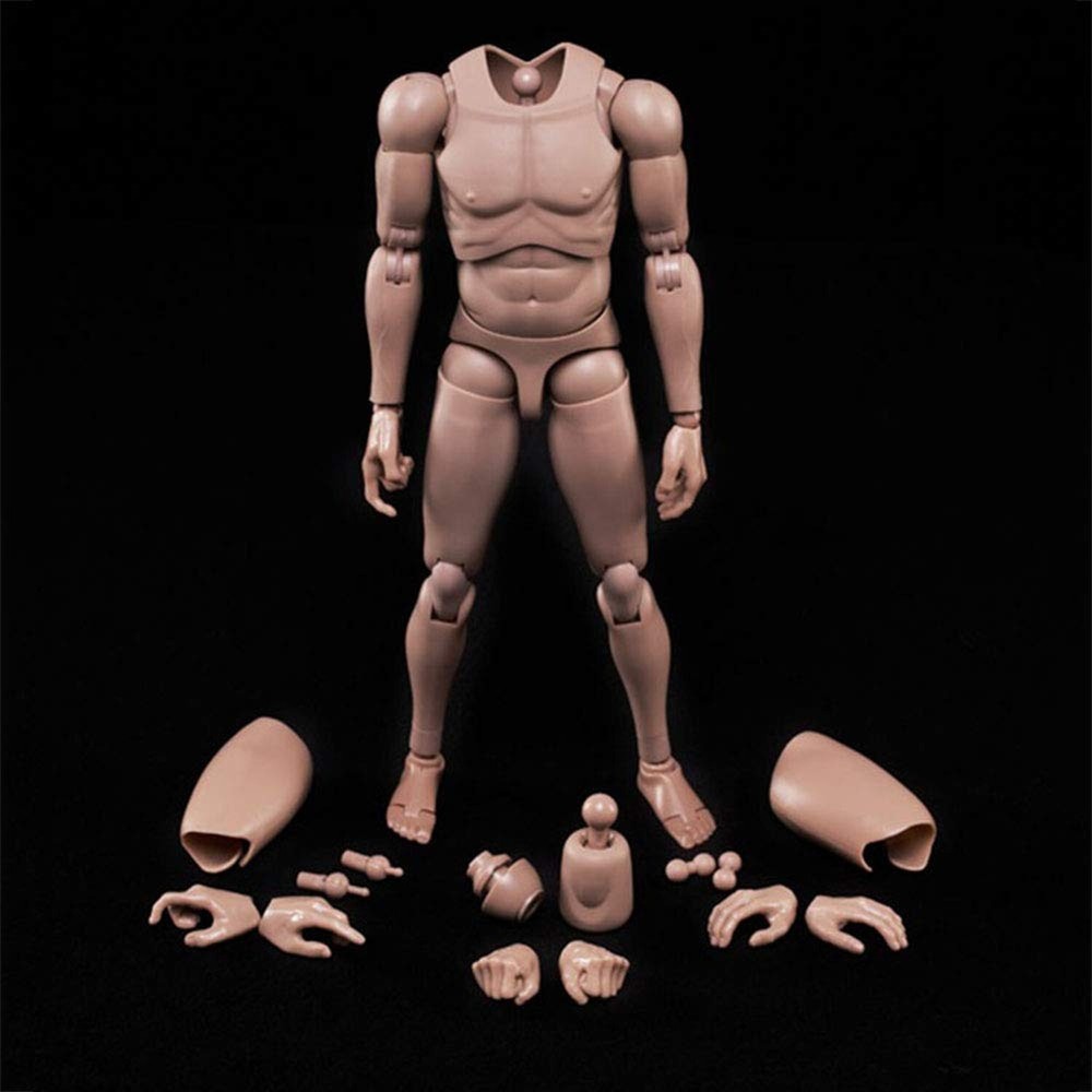 1:6 Scale Muscle Male Action Figure Europe Skin 12 Inch Flexible Male Figure …