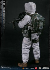 1/6th DAMTOYS 78068 PLA NAVY MARINE CORPS Action Figure In Stock