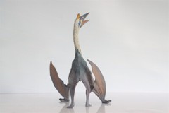 TNG Quetzalcoatlus Model Jurassic Dinosaur Animal Figure Toys Xmas Gift Decor