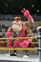 NECA Stump Arena TMNT Adventures Cryin’ Houn’