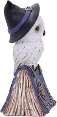 Nemesis Now Avian Spell Owl Figurine Purple 12.5cm, Resin, Blue Avian Spell Figu