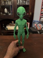 Green Alien Action Figure! New Species! 12” Tall!